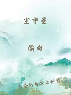 尘中星