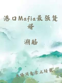 港口Mafia最强赘婿