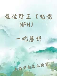 最佳野王（电竞NPH）