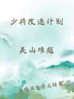 少将改造计划