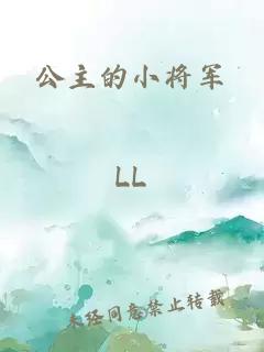 公主的小将军