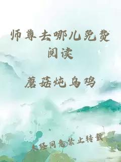 师尊去哪儿免费阅读