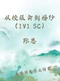 从校服肏到婚纱（1V1 SC）