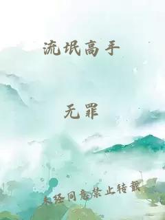 流氓高手